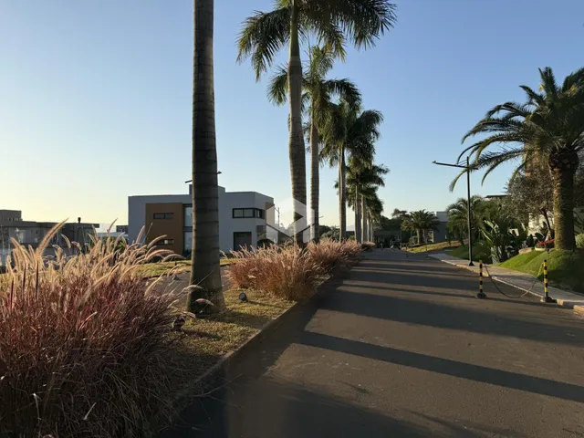 Vista da rua com palmeiras e vegetação ao lado de um edifício.