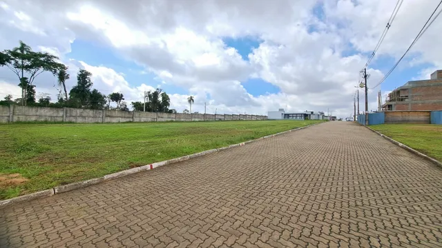 Terreno, foto 3