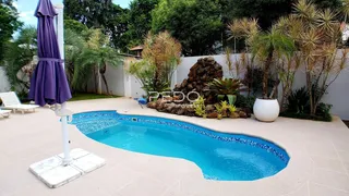 Piscina externa com paisagismo tropical e muro branco.