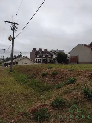Terreno, foto 3
