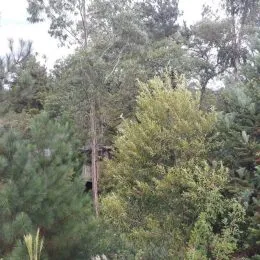 Área rural, foto 5