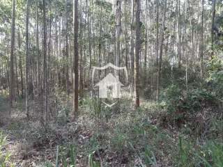 Área rural, foto 1
