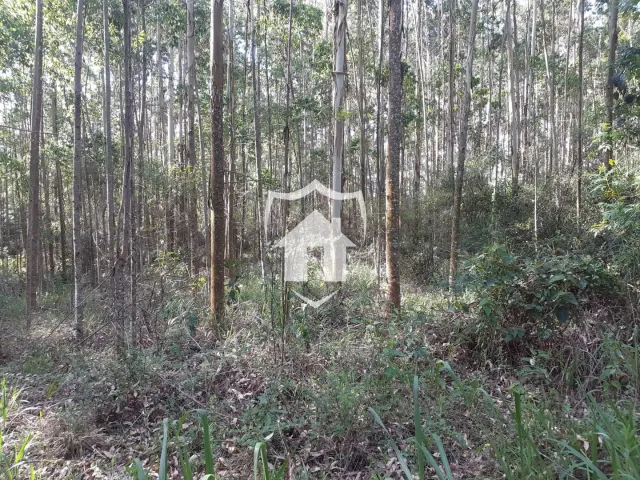 Área rural