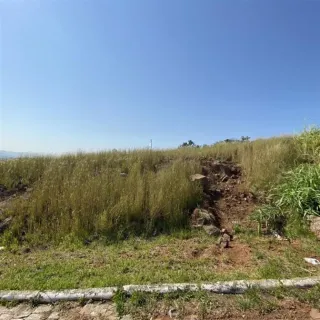 Vista de uma área de vegetação seca e terreno acidentado no exterior.