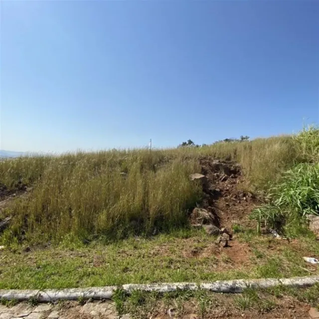 Vista de uma área de vegetação seca e terreno acidentado no exterior.