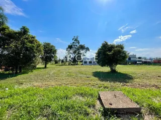 Terreno, foto 2
