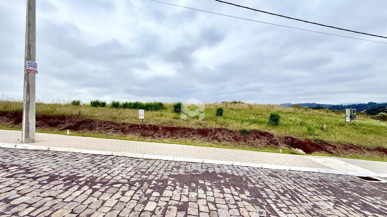 Vista da paisagem rural com vegetação e um poste de luz.