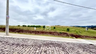 Vista da paisagem rural com vegetação e um poste de luz.