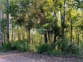 Área rural, foto 10