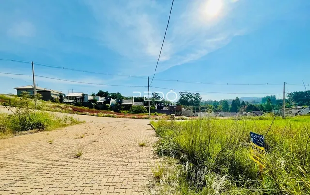 Terreno, foto 2