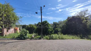 Terreno, foto 3