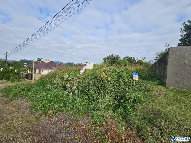 Terreno, foto 2