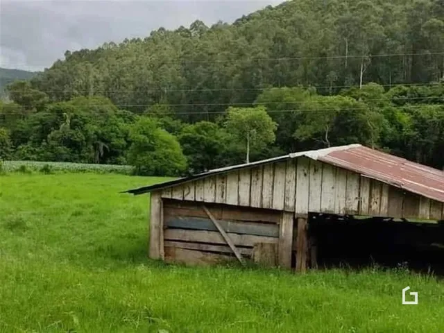 Terreno, foto 5