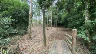 Área rural com 2 dormitórios, foto 3