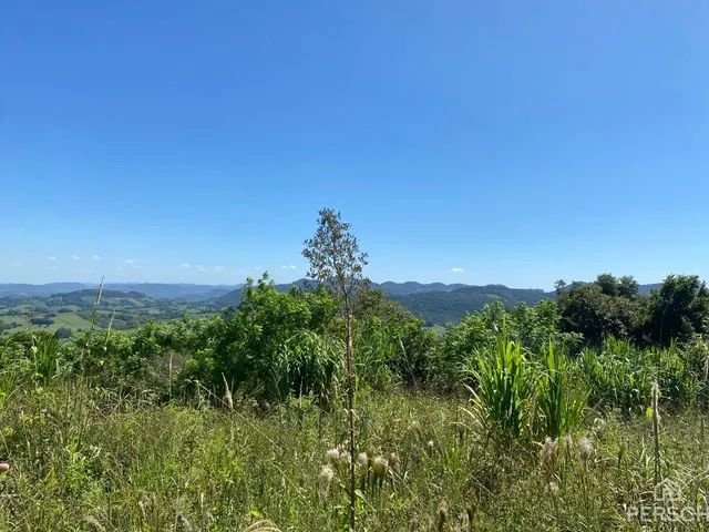 Vista panorâmica de vegetação densa e colinas verdes sob um céu azul.