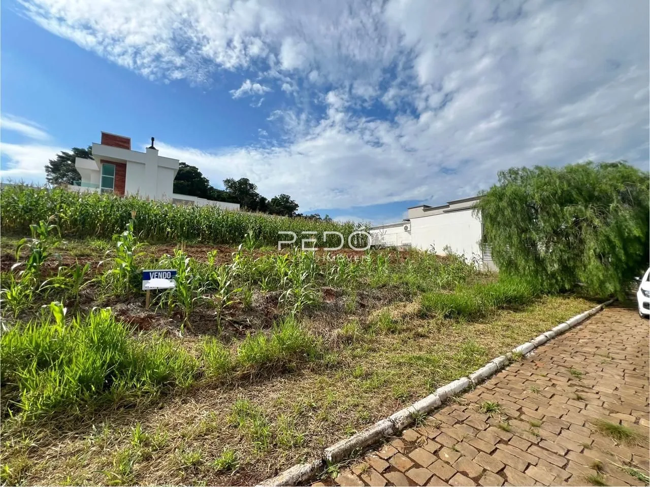 Vista externa de uma propriedade com vegetação no primeiro plano e um edifício branco ao fundo.