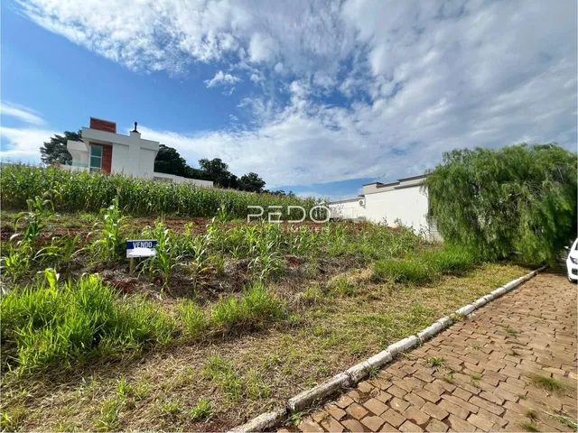 Vista externa de uma propriedade com vegetação no primeiro plano e um edifício branco ao fundo.