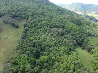 Área rural, foto 3