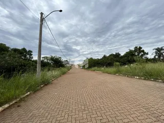 Uma estrada pavimentada se estende por uma área com vegetação alta.