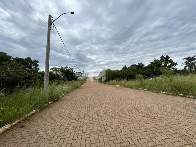 Uma estrada pavimentada se estende por uma área com vegetação alta.