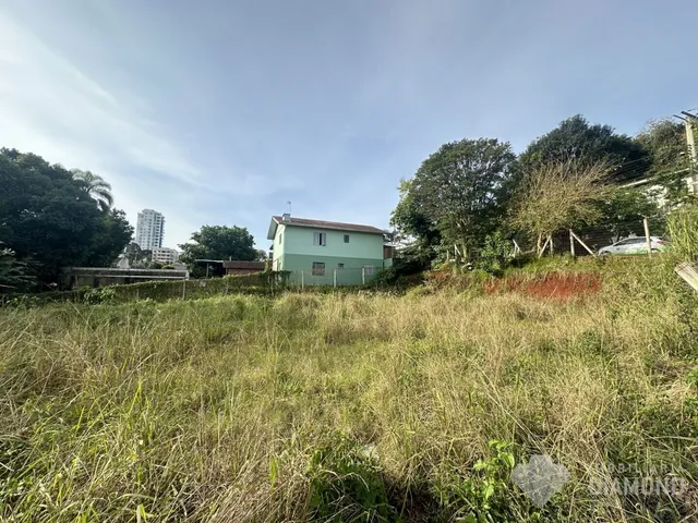 Terreno, foto 3
