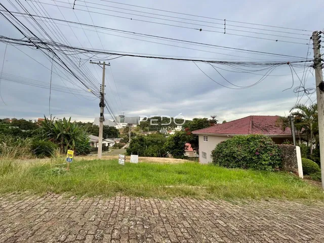 Vista externa de uma residência com gramado e vegetação no primeiro plano.