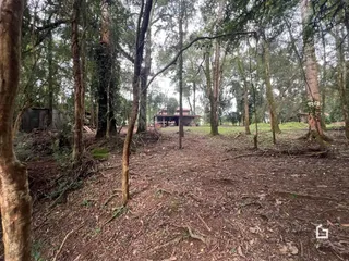 Vista da área de mata e vegetação na propriedade em Lajeado.