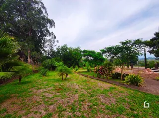 Paisagem de gramado e árvores em uma área externa.