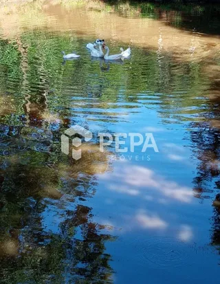 Área rural com 3 dormitórios, foto 17
