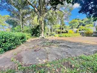 Vista de um terreno aberto com vegetação densa e solo exposto.