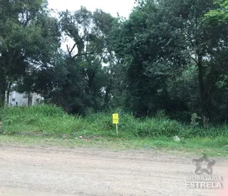 Terreno, foto 1
