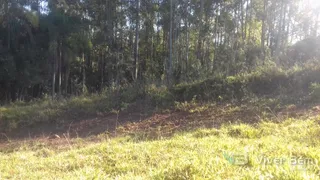 Área rural, foto 7