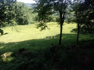 Área rural com 2 dormitórios, foto 6