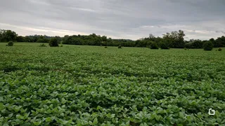 Terreno, foto 8