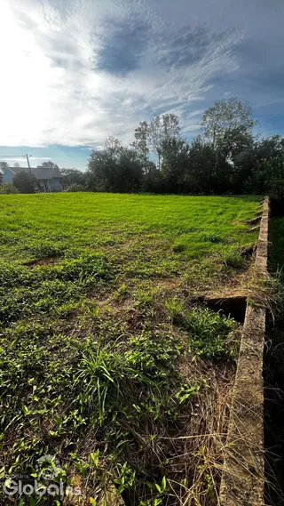 Terreno, foto 2