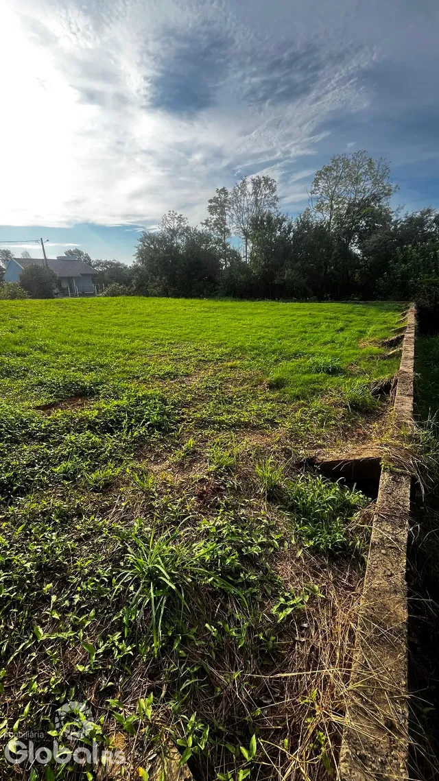 Terreno, foto 2
