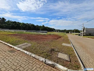 Terreno, foto 4