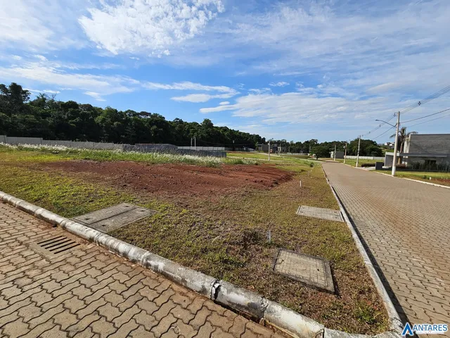 Terreno, foto 4
