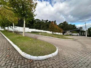Vista externa de uma rua com paisagismo e árvores.