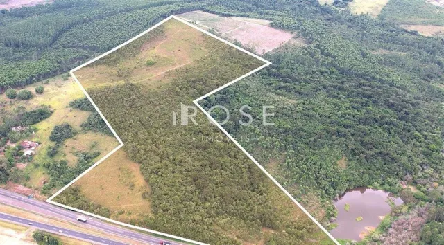 Terreno, foto 5