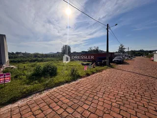 Vista da propriedade com vegetação e área pavimentada.