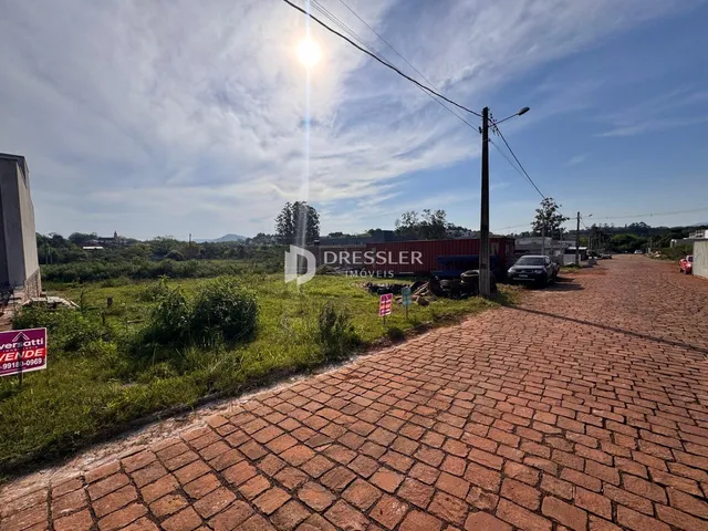 Vista da propriedade com vegetação e área pavimentada.