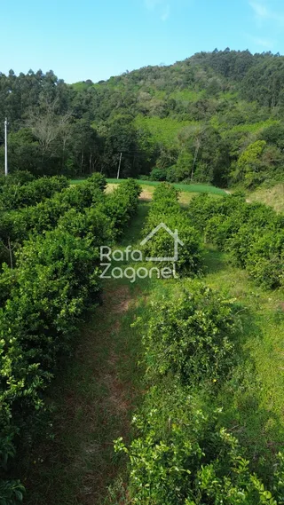 Área rural, foto 5