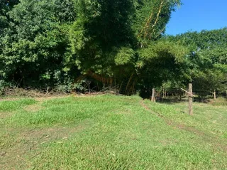 Área rural com 1 dormitório, foto 5