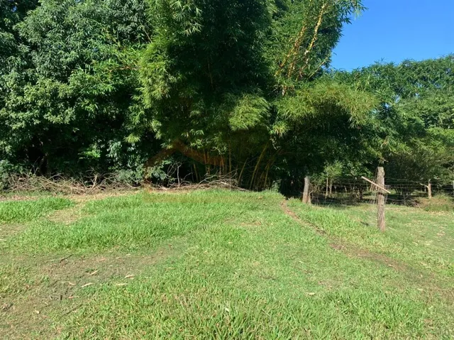 Área rural com 1 dormitório, foto 5