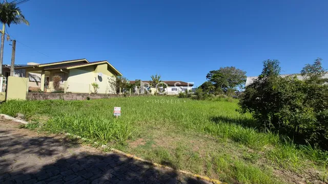 Terreno, foto 3