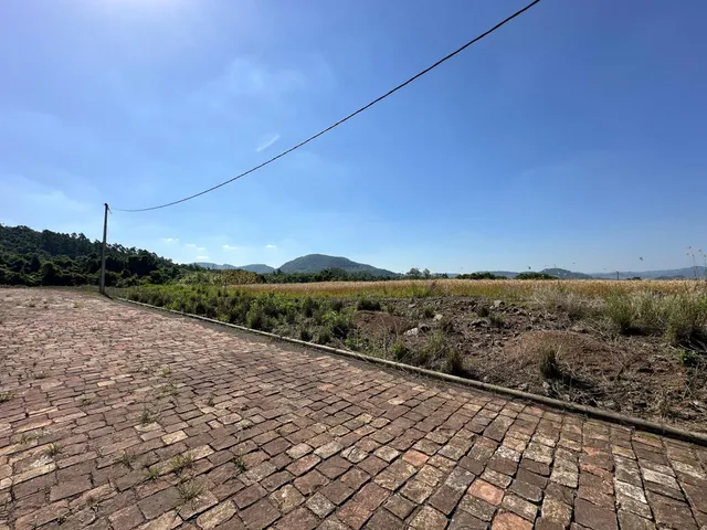 Vista de um pátio pavimentado com terraços e vegetação em uma área externa.