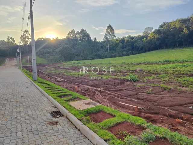 Terreno, foto 2