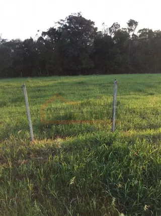 Área rural, foto 7