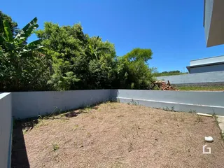 Vista externa de um terreno com muro e vegetação densa.